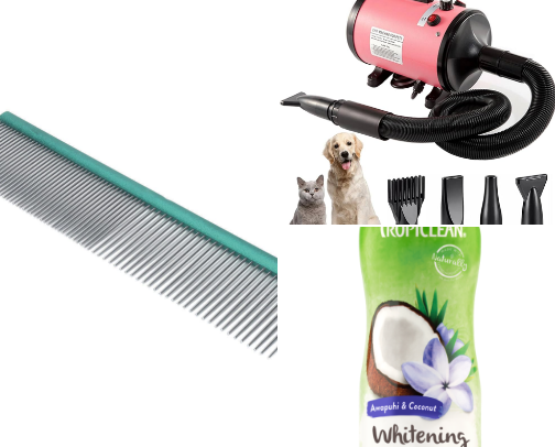 Pour un chien blanc, plus que blanc ! cover photo collage