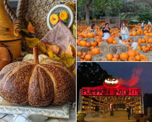 Spooky Season in Dallas! cover photo collage