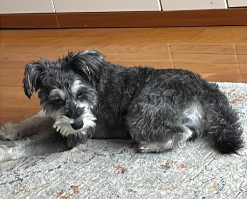 Favourite Books cover photo collage