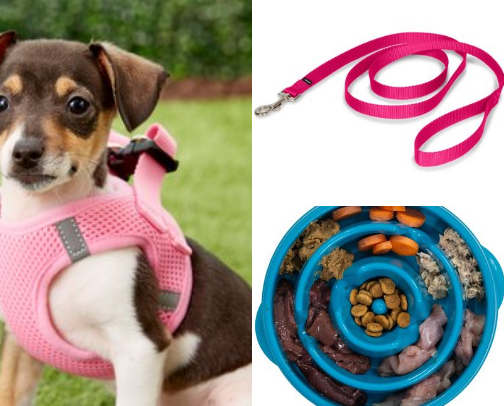 Things you need when you own a dog cover photo collage