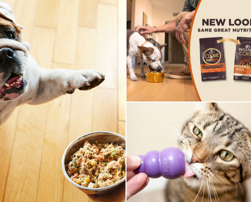 Pet, essentials and favourite brands. cover photo collage