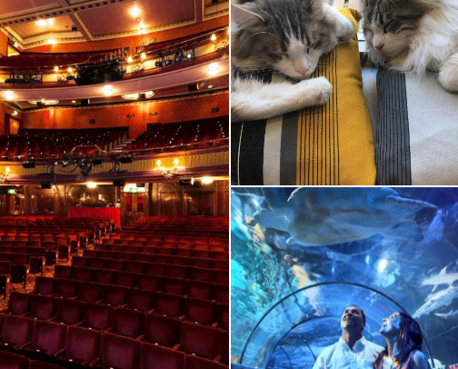 things to do in London, England!! cover photo collage