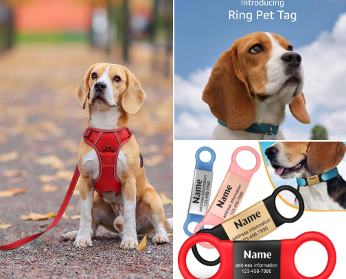 Dog Mom Must-Haves🦴 cover photo collage