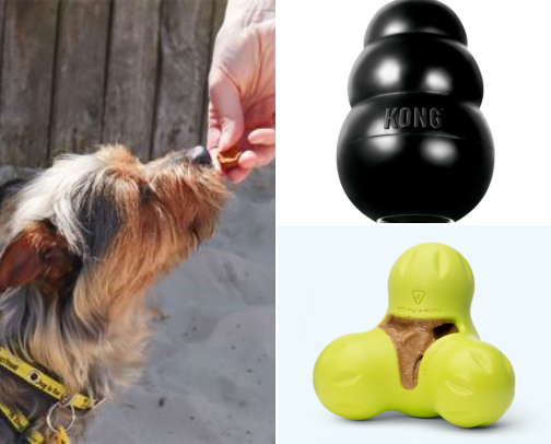 Rainy-Day Dog Enrichment: Tough Toys & Free Games cover photo collage