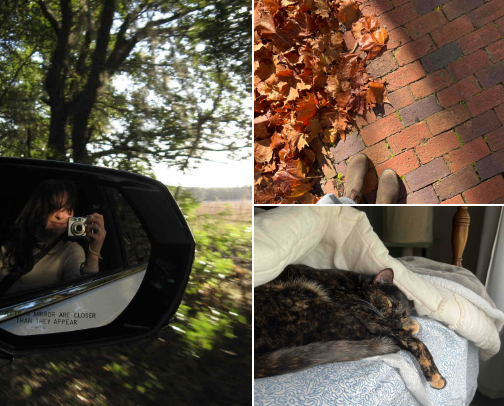 Little Whispers of Autumn π cover photo collage