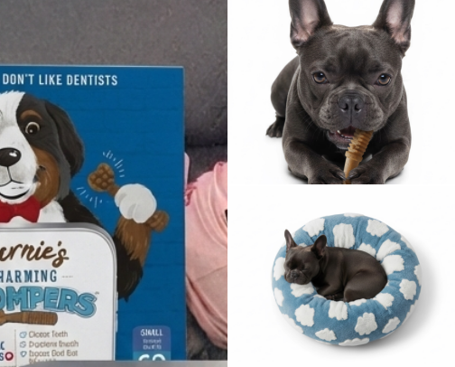 Everything You Need for a Happy, Healthy Pet! cover photo collage