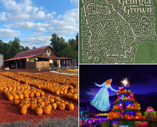 🍂 Atlanta Autumn Adventures: The Ultimate Fall Bucket List cover photo collage