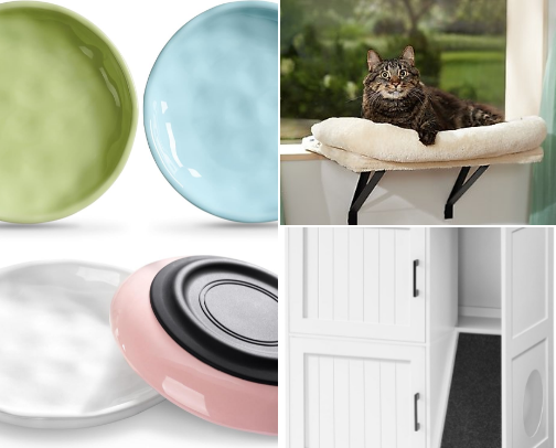 Crazy Cat Lady Essentials cover photo collage