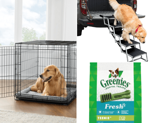 PetSmart EVERYDAY must have! cover photo collage