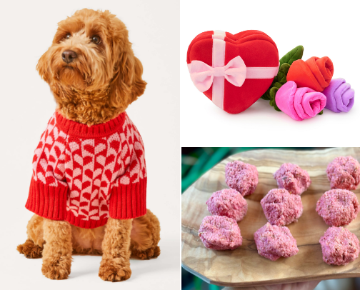 Gifts for the Ulti-Mutt Valentine cover photo collage