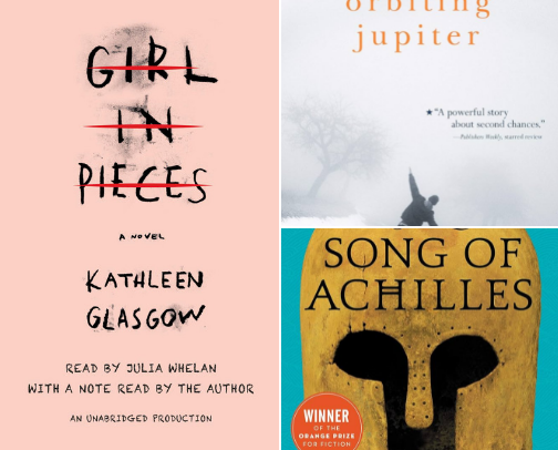 Books Recs. cover photo collage