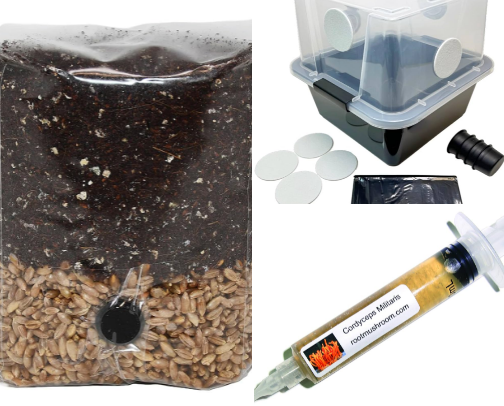 BEST BUDGET MUSHROOM GROWING SUPPLIES FOR BEGINNERS in 2025! cover photo collage