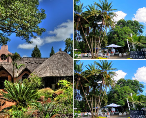 Cool & Must-Try Restaurants in Zimbabwe 🍴. cover photo collage