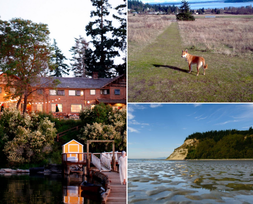 Best dog friendly places on Whidbey Island cover photo collage