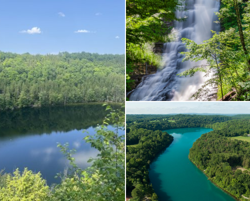 New to Syracuse, NY or planning to visit? I got you covered! cover photo collage