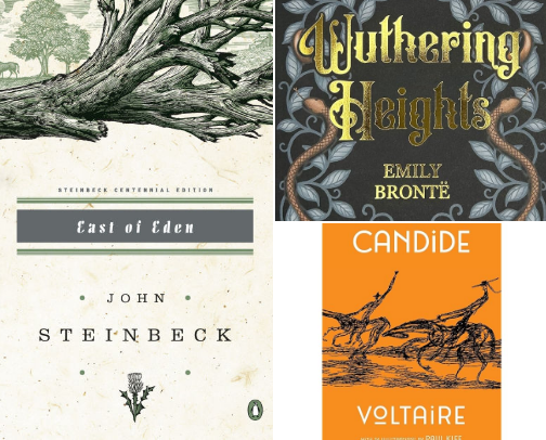 A realistic guide to must read classics cover photo collage