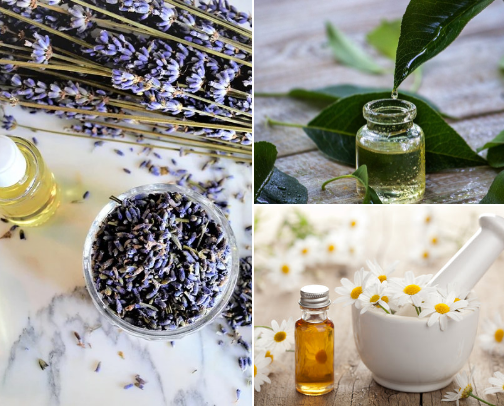 Preferred essential oils and their benefits as a licensed esthetician cover photo collage