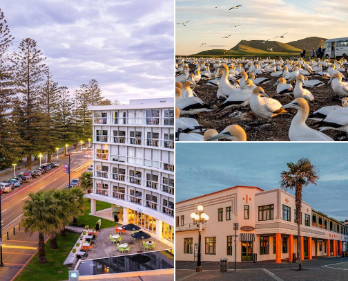 𝘕𝘰𝘳𝘵𝘩 𝘐𝘴𝘭𝘢𝘯𝘥 𝘍𝘢𝘷𝘦𝘴:
Hawkes Bay, NZ cover photo collage