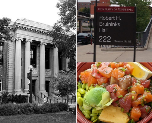 Best of UMN cover photo collage