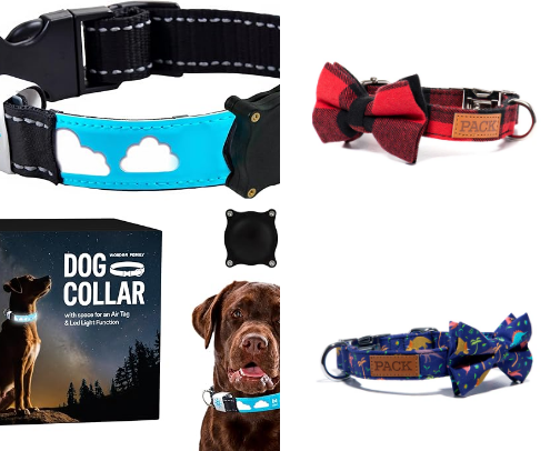 Our favorite collars cover photo collage