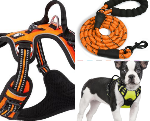 Best Dog Walking Essentials 2026: Vet‑Approved Gear Every Pet Parent Needs cover photo collage