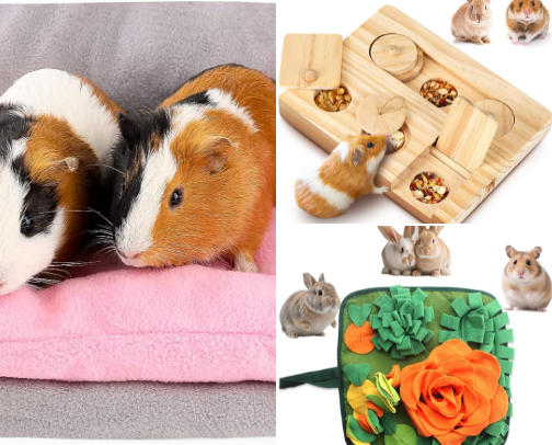 Guinea Pig Must-Haves!! 🐹🐹 cover photo collage