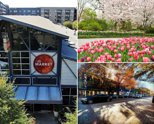 THINGS TO DO IN DALLAS☀️🏙️ cover photo collage