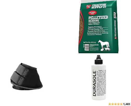 Horse Must Haves cover photo collage