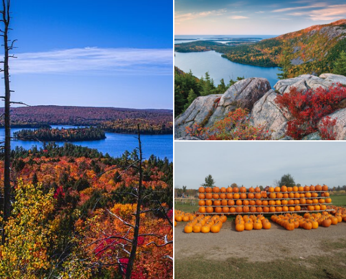 Falling for Fall: A Seasonal BUCKET LIST cover photo collage