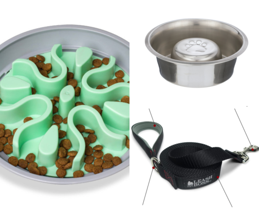 Pet Bowls That Finally Stopped My Dog From Inhaling Food in 30 Seconds cover photo collage