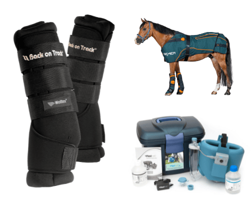 Equine favourites cover photo collage
