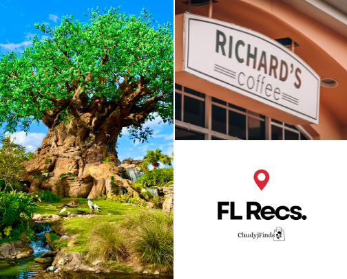 Florida Joys cover photo collage