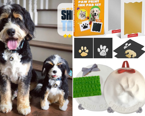 Pet Christmas Edition cover photo collage