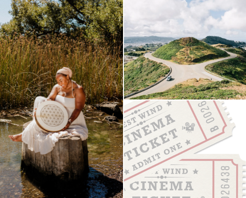 Bay Area Must Visit Places cover photo collage