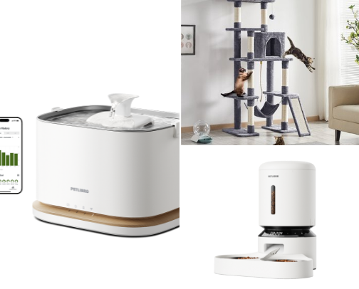 Here Meow, There Meow, Everywhere Meow Meow cover photo collage