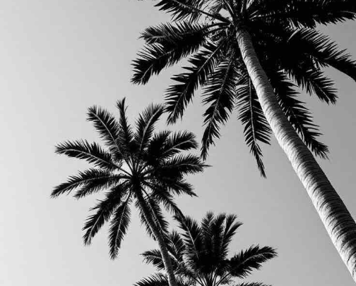 The SoFlo Experience Guide cover photo collage