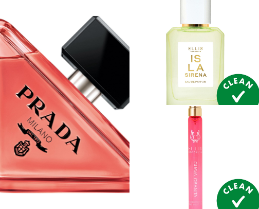 My Favorite Summer Fragrances ✨🧪 cover photo collage