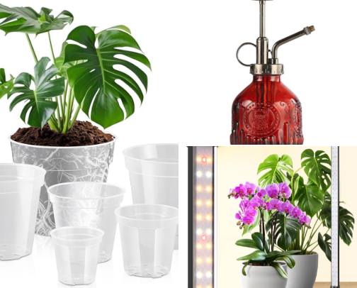 All things planty cover photo collage