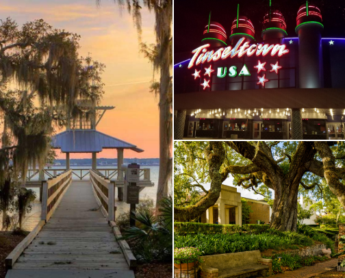 LOCAL'S GUIDE: Jacksonville/Saint Johns Country, FL cover photo collage