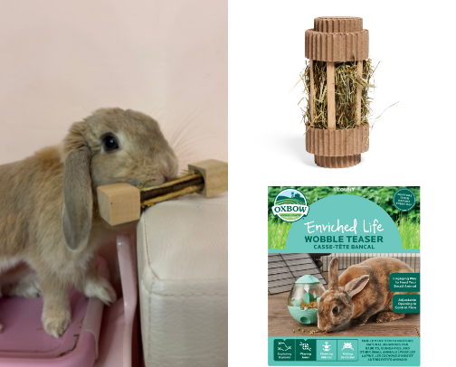 Bunny toys🐰 cover photo collage