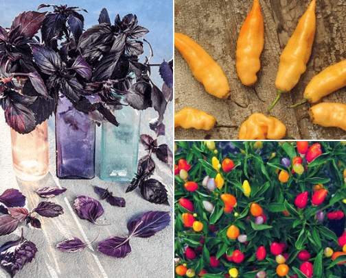 Gardening cover photo collage
