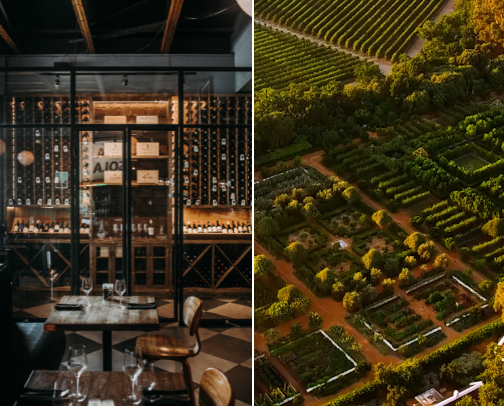 🍷 Best Places for Brunch, Drinks & Dinner cover photo collage