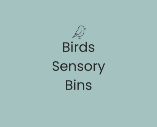 Birds Sensory Bin cover photo collage