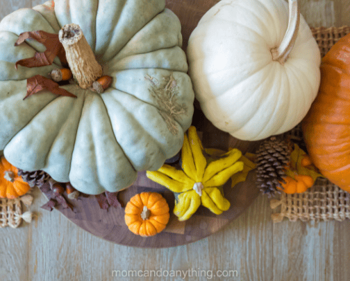 How to Preserve Uncarved Pumpkins for Decoration cover photo collage