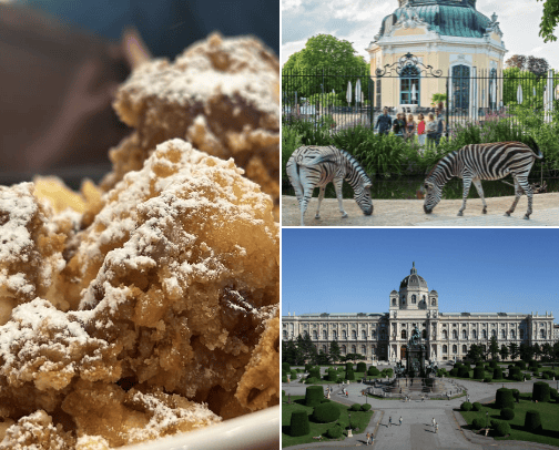 Places to Visit in Vienna- Austria cover photo collage