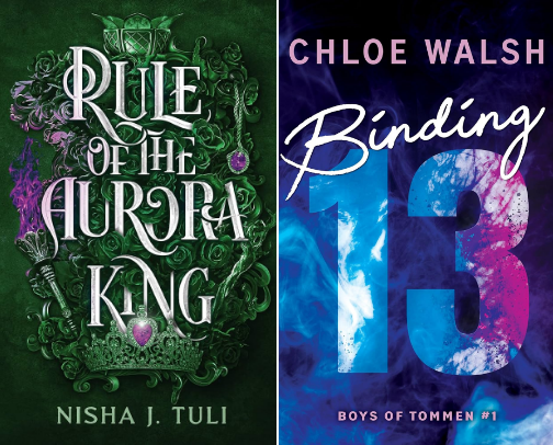 Books I read and enjoyed - 2025 edition cover photo collage