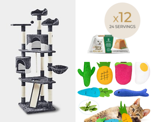 Cat essentials! cover photo collage