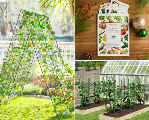 From Roots to Shoots - Everything for the newbie gardening girlies cover photo collage