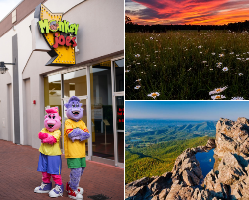 VA Excursions for the Whole Fam cover photo collage