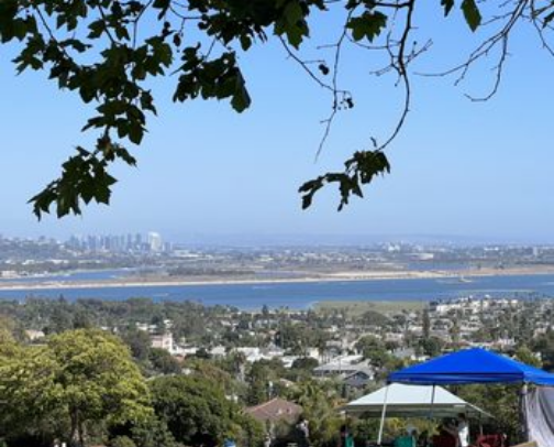 My top San Diego recs cover photo collage